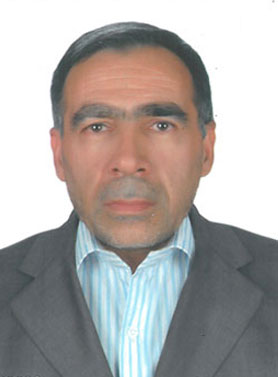  محمد عامری